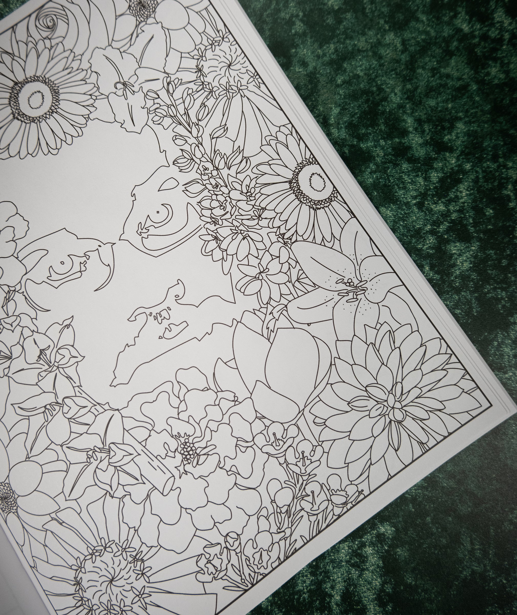 Coloring book page with floral and abstract designs on a textured green surface