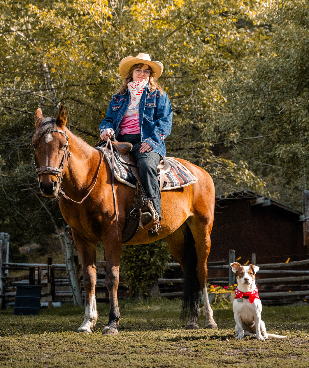 Crusty Steed Bundle