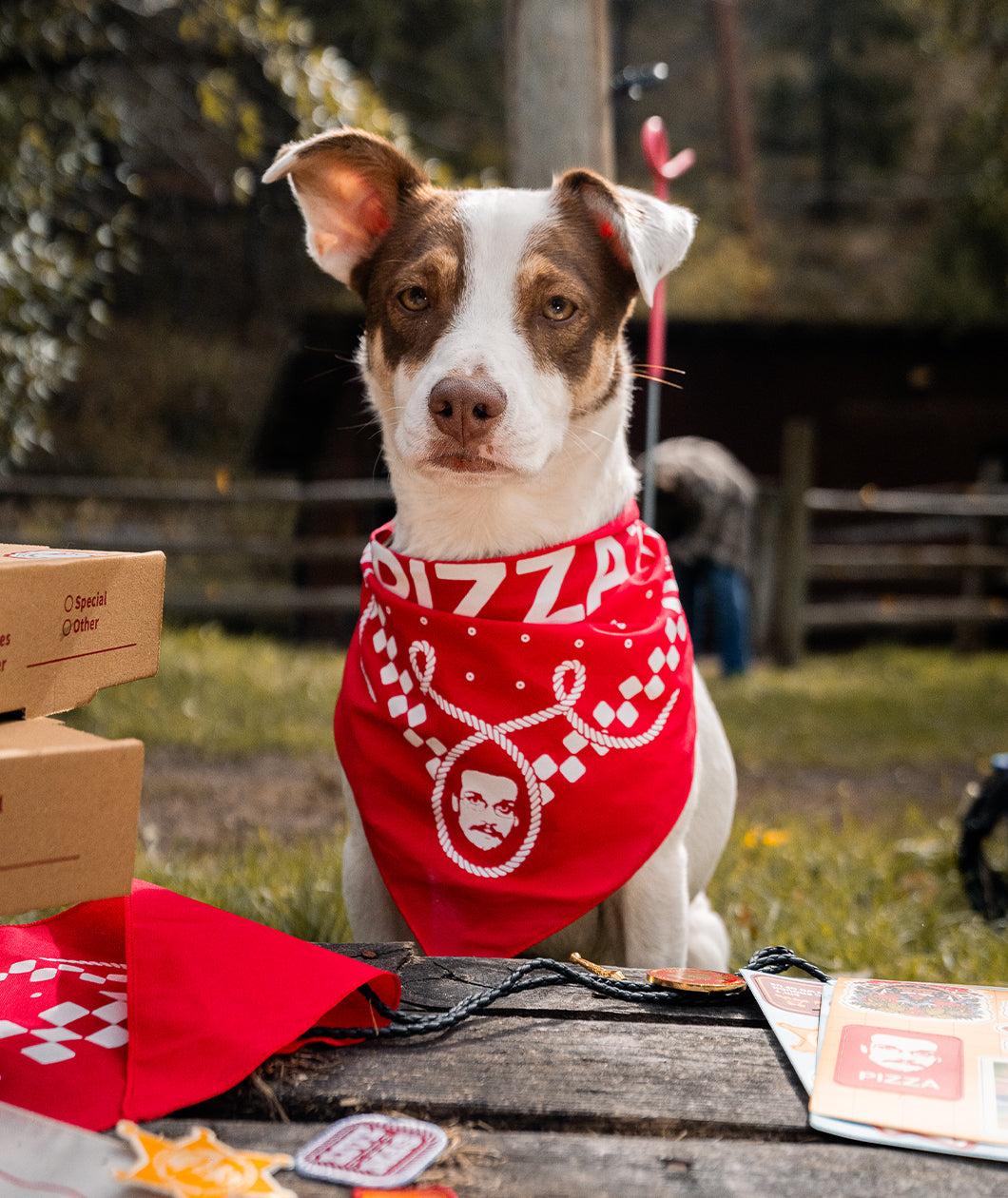 Pizza John Pet Bandana